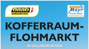 538543867 1165783948914249 8575261330006191954 n